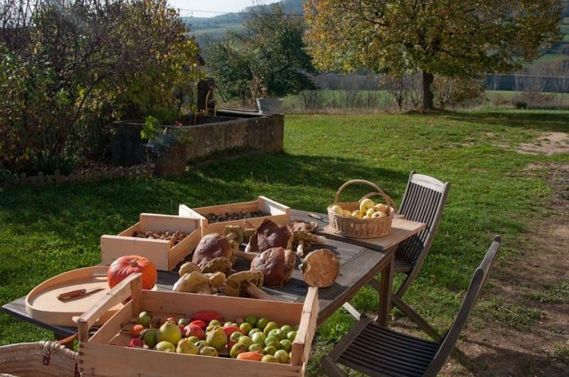Gite La Grange Du Haut Saint-Antoine エクステリア 写真